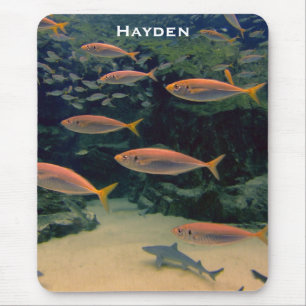 Rosa Fisch-Showwasser-Foto Personalisiert Mousepad