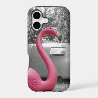 Rosa Flamingo