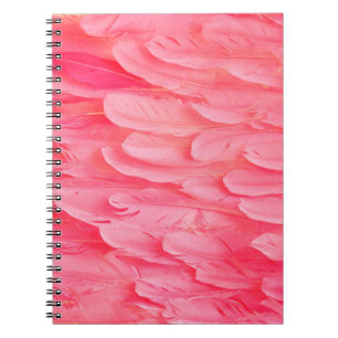 Rosa Flamingo Feathersflamingo, Feder, Rosa, Textu Notizblock