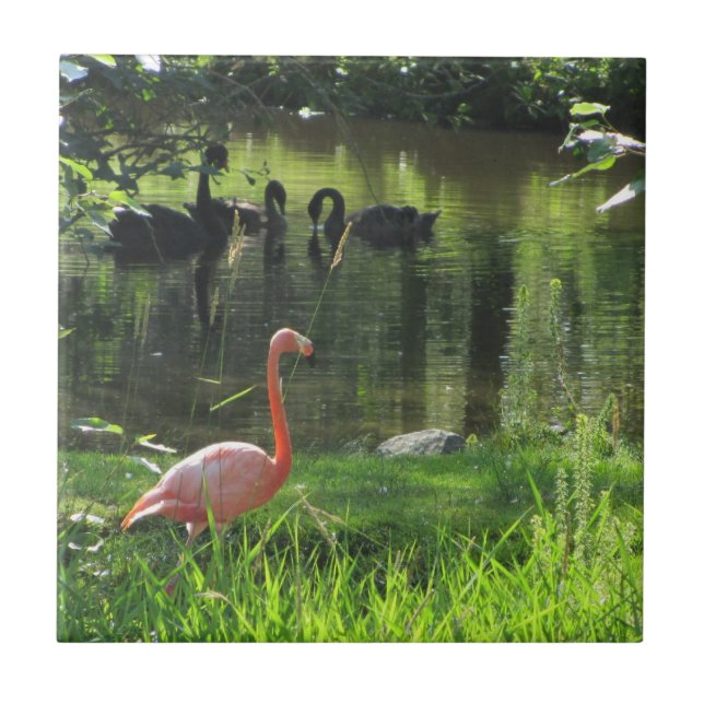 Rosa Flamingo Fliese (Vorderseite)