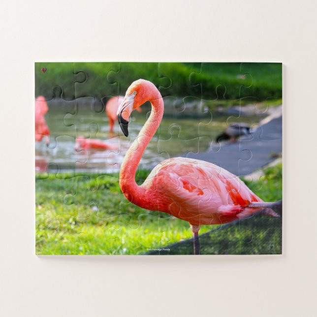 Rosa Flamingo Florida. Puzzle (Horizontal)