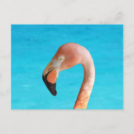 Rosa Flamingo-Gesicht gegen blaues Wasser auf Feiertagspostkarte