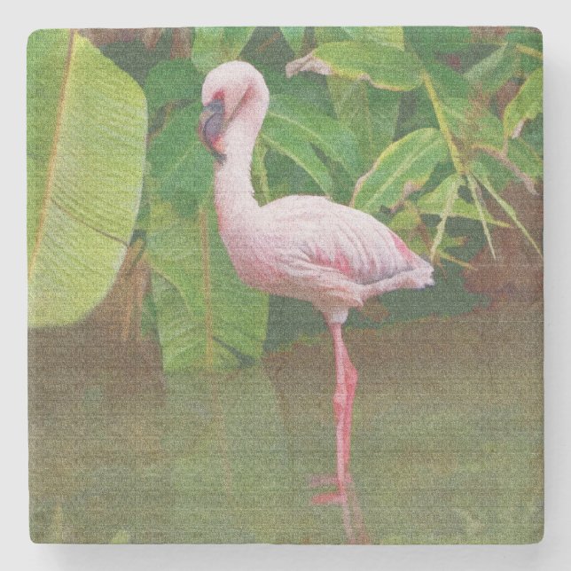 Rosa Flamingo in dem See in Florida Steinuntersetzer (Vorderseite)