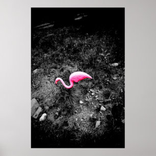 rosa Flamingo Poster