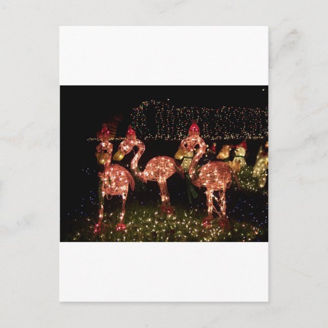 Rosa Flamingo Postkarte (Vorderseite)