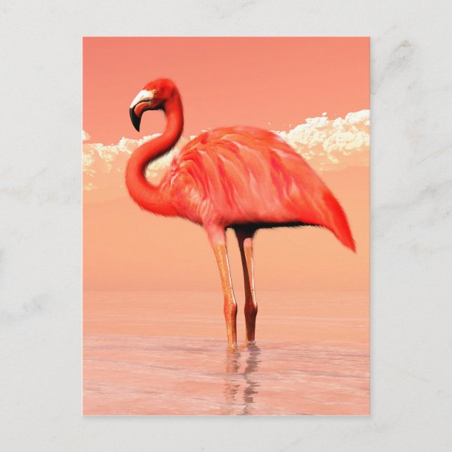 Rosa Flamingo Postkarte (Vorderseite)