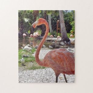 Rosa Flamingo Puzzle