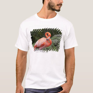 Rosa Flamingo T-Shirt