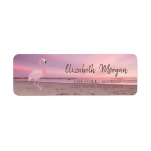 Rosa Flamingo Tropischer Strand Sonnenuntergang