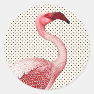 Rosa Flamingo und Vintage Polka-Punkte Runder Aufkleber
