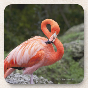 Rosa Flamingo Untersetzer