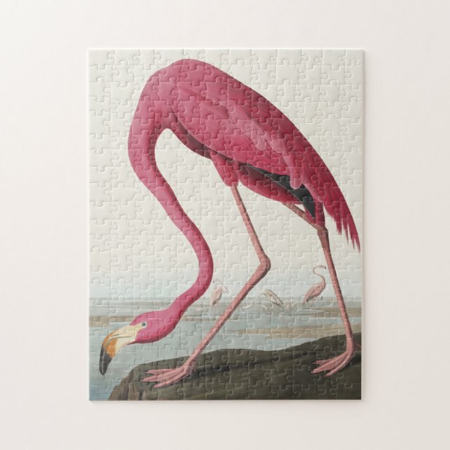 Rosa Flamingo von Vögeln Amerikas Puzzle (Vertikal)
