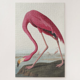 Rosa Flamingo von Vögeln Amerikas Puzzle