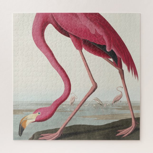 Rosa Flamingo von Vögeln Amerikas Puzzle (Vertikal)