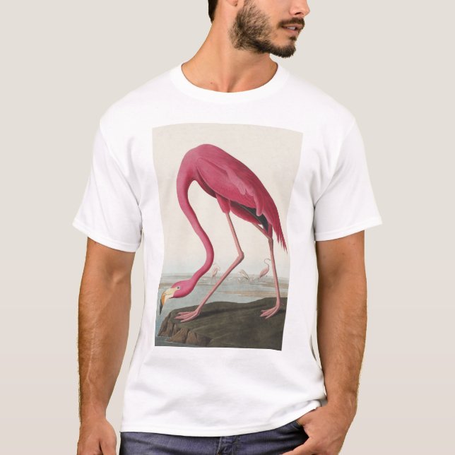 Rosa Flamingo von Vögeln Amerikas T-Shirt (Vorderseite)