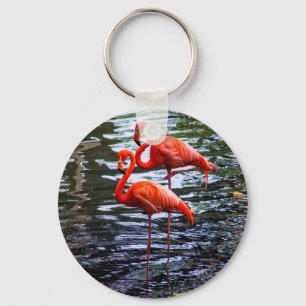 Rosa Flamingos im Wasser Schlüsselanhänger