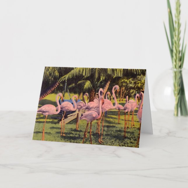 Rosa Flamingos in Florida Karte (Vorderseite)