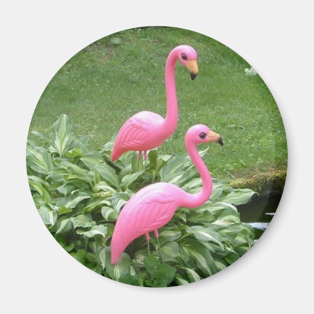 Rosa Flamingos Magnet (rund) (Vorne)