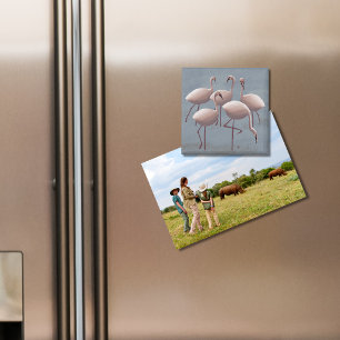 Rosa Flamingos Magnet Serengeti Wildlife Safari