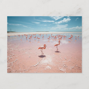 Rosa Flamingos Postkarte