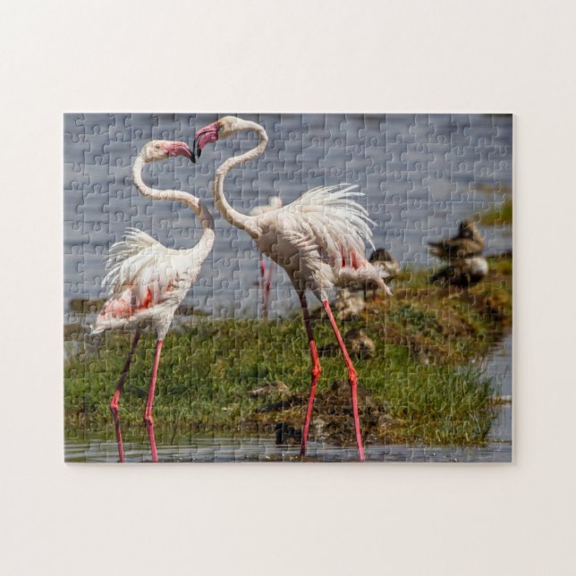 Rosa Flamingos. Puzzle (Horizontal)
