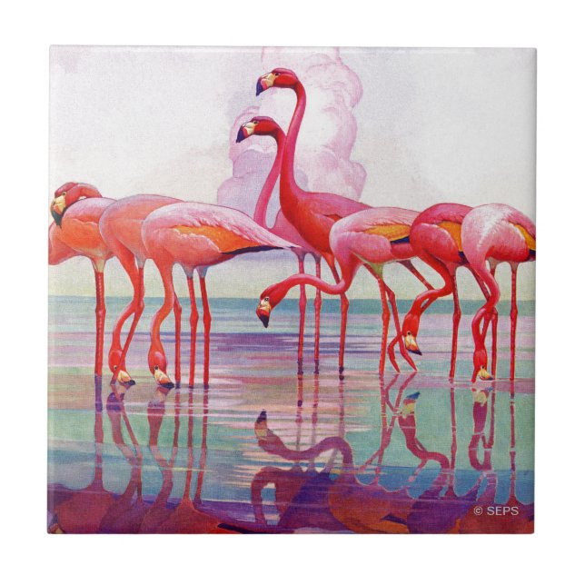 Rosa Flamingos von Francis Lee Jaques Fliese (Vorderseite)