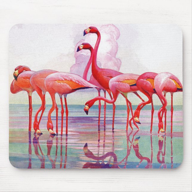 Rosa Flamingos von Francis Lee Jaques Mousepad (Vorne)