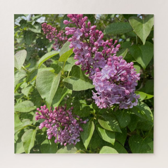 Rosa Fliederblüte Puzzle (Vertikal)