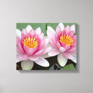 Rosa Floating Wasserlilie Lotus Canvas Print Leinwanddruck
