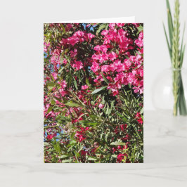 Rosa floral karte