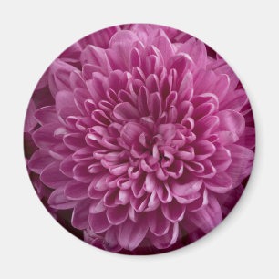 Rosa Floral Magnet