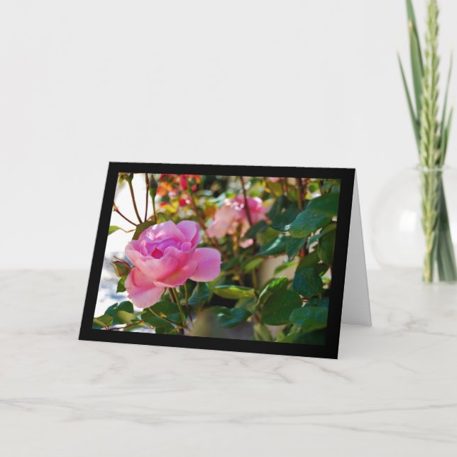 Rosa Floral Rose Karte (Vorderseite)