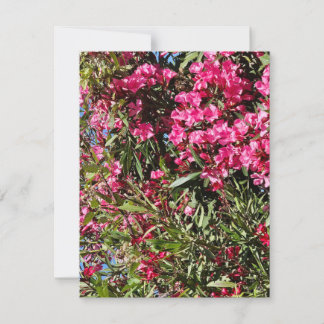 Rosa floral RSVP karte