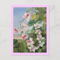 Rosa florale Frühlings-Party Dusche Frieden Liebe