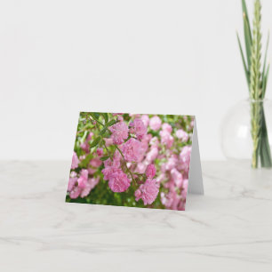 Rosa Florale Pink Rose Hallo, ich denke an Dich Li Karte