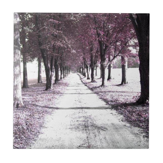 rosa Forrest Gump Straße Fliese (Vorderseite)