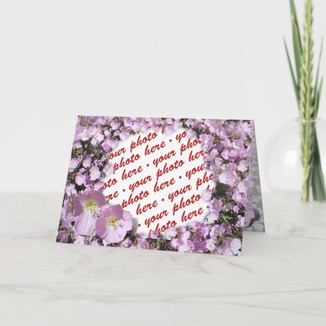 Rosa Foto Karte (Vorderseite)