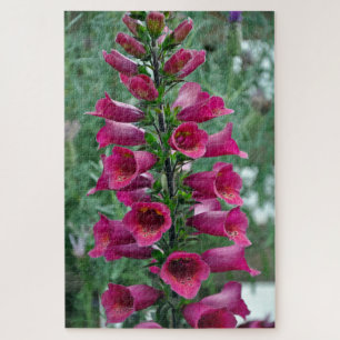 Rosa Foxglove-Blume Puzzle