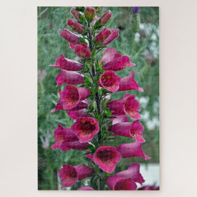 Rosa Foxglove-Blume Puzzle (Vertikal)