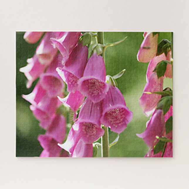 Rosa Foxglove-Blume Puzzle (Horizontal)