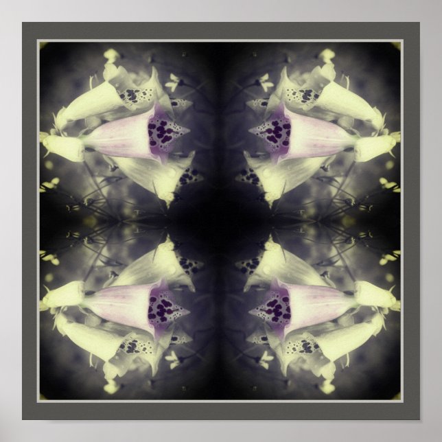 Rosa Foxglove Blume Schwarz-Weiß Abstrakt Poster (Vorne)
