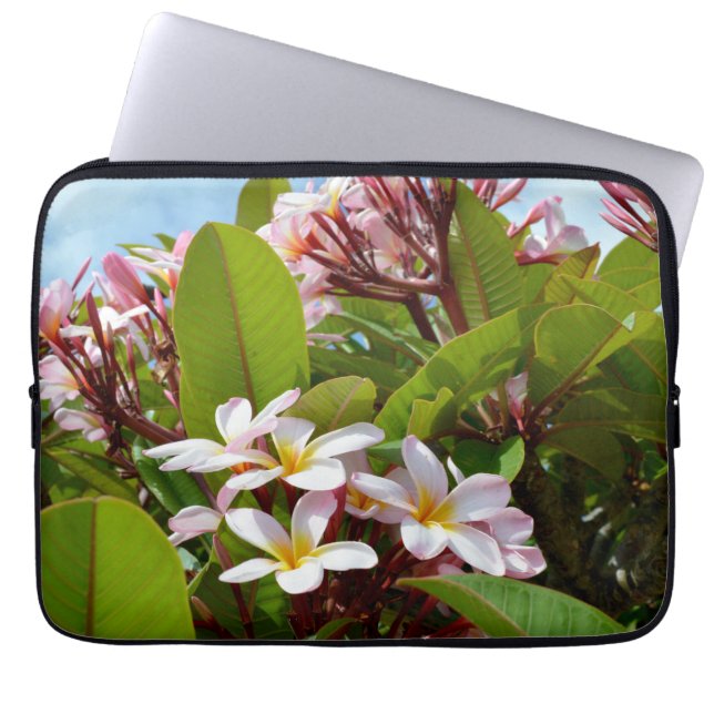 Rosa Frangipani-Baum, Laptop-Sieb Laptopschutzhülle (Vorderseite)