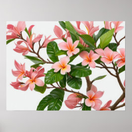 Rosa Frangipani-Blume Poster