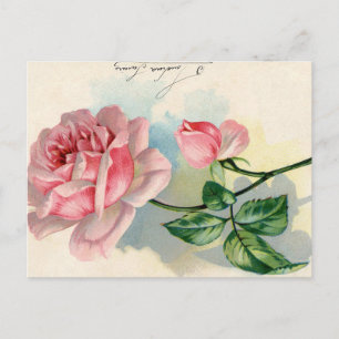 Rosa Französisch Script Vintag Valentine Postcard Postkarte