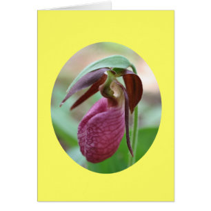 Rosa Frauenschuh Orchideen-Blumen-Fotografie-Karte