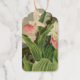 Rosa Frauenschuh Vintage-Blumen-Orchidee Botanisch Geschenkanhänger