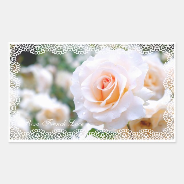 Rosa French Lace [Rectangular Seal] Rechteckiger Aufkleber (Vorderseite)