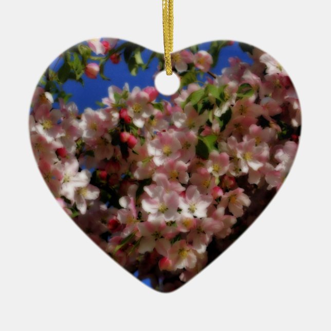 Rosa Frühling blüht Blumen-Verzierung Keramikornament (Vorne)
