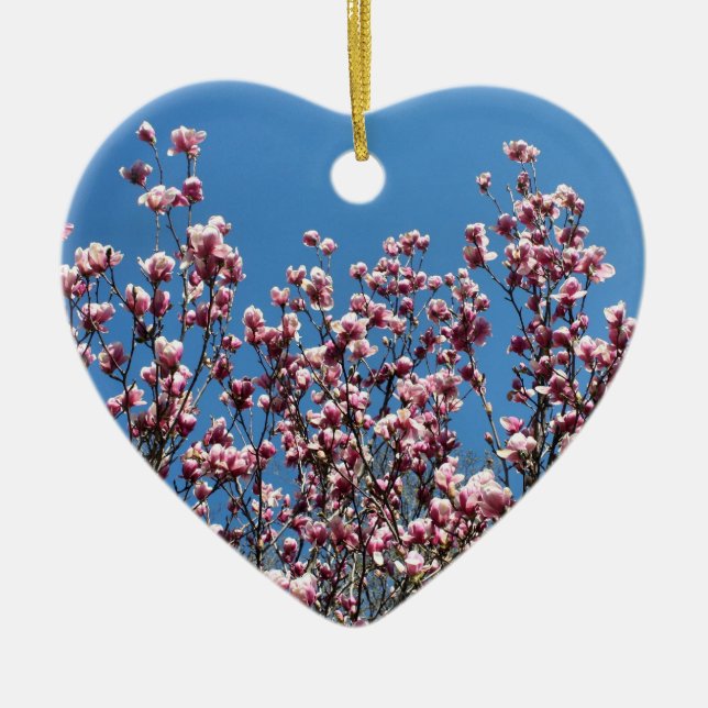 Rosa Frühling Magnolia Blüten Blumenzauber Keramikornament (Vorne)