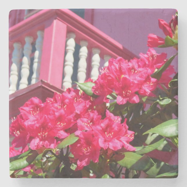 Rosa Frühlingsbalkon - Martha's Vineyard Steinuntersetzer (Vorderseite)